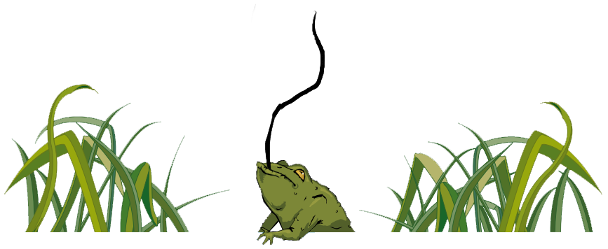 frog_background_new.png