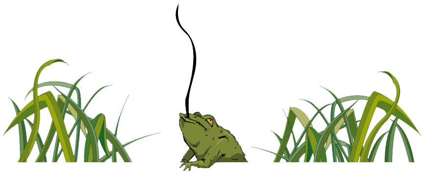 frog_background.png